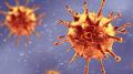 کشف صدها جهش ژنتیکی در ویروس کرونا