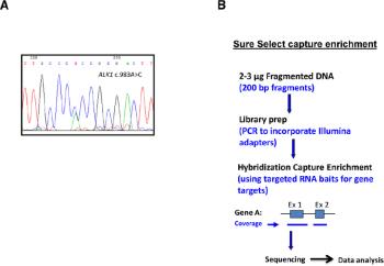 راه اندازي تست هاي پنل ترومبوفيلي به روش Sanger Sequencing  در بخش ژنتیک آزمايشگاه پاتوبیولوژی و ژنتيک رازی بابل