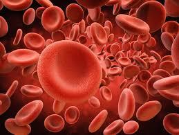 20 دانستنی جالب درباره خون و گروه خونی که قبلا نمی دانستید