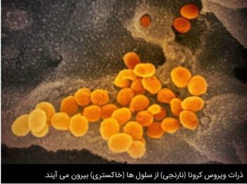 گزارش جامع دولت چین در مورد وضعیت ویروس کرونا منتشر شد