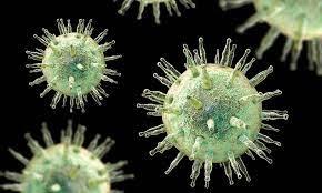 امیدی تازه برای درمان MS: حمله به ویروس EVB در آزمایش‌های بالینی موفق ظاهر شد.